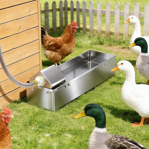Automatic chicken waterer - automatic,